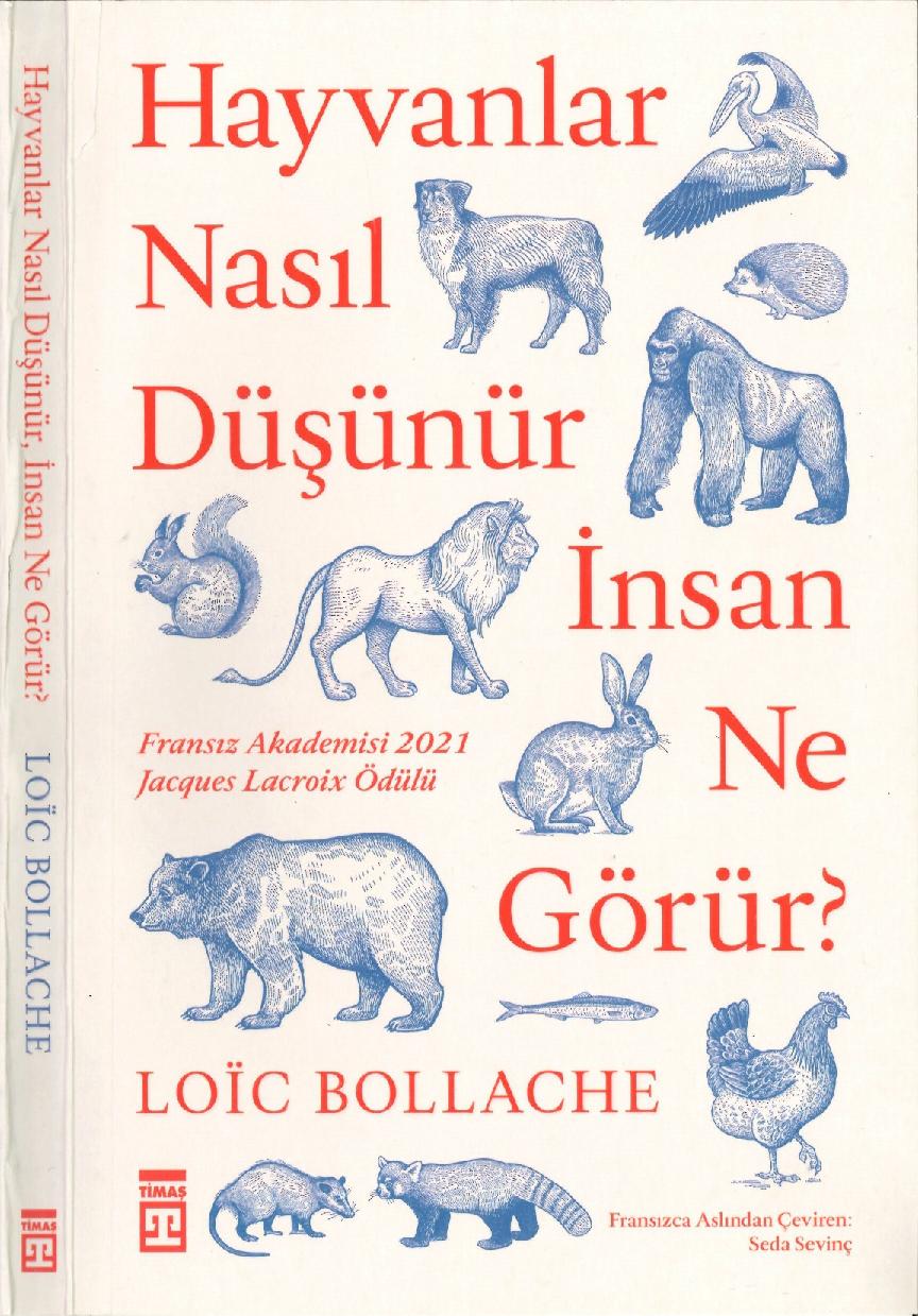 Loic Bollache